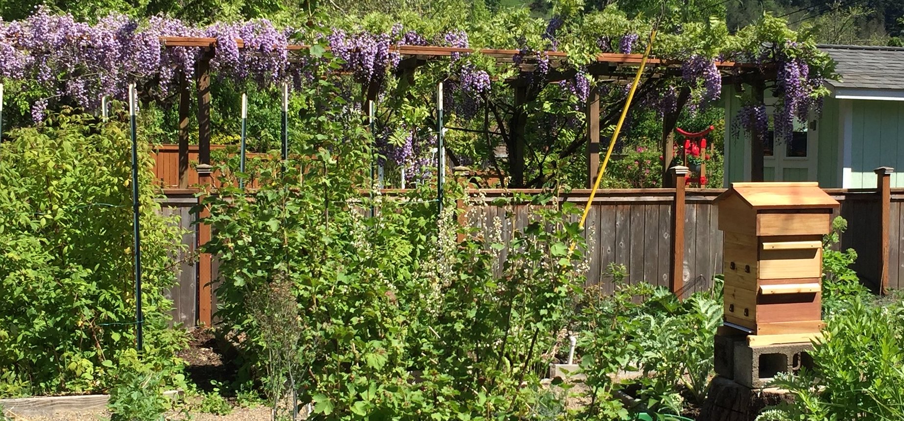 Biodynamic Gardening | Biodynamic Association